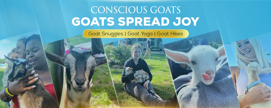 Goats Spread Joy Banner