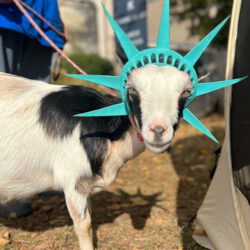 statue of liberty goat